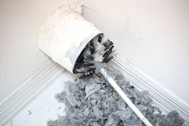 Best Professional Duct Cleaning Services  in Folly Beach, SC